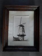 Oude foto Karrebrouckmolen Jabbeke, Verzamelen, Ophalen of Verzenden, Foto