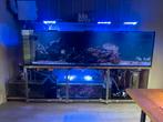 Complete zeeaquarium 1200l (incl. Toebehoren), Dieren en Toebehoren, Ophalen, Gebruikt