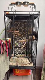 Vogelkooi 150 op 50, Ophalen, Zo goed als nieuw, Metaal, Vogelkooi