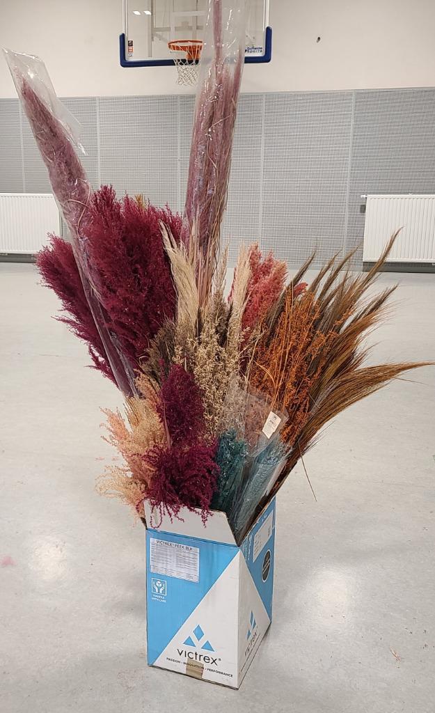 Pakket pampasgras, stipas, pluim - Decoratie huwelijk, trouw, Huis en Inrichting, Woonaccessoires | Droogbloemen, Zo goed als nieuw