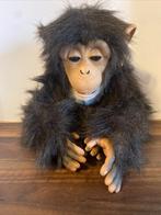 🎯 Furreal Cuddle singe chimpanzé singe orgue de Barbarie si, Enfants & Bébés, Enlèvement ou Envoi