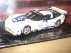 corvette le mans modelauto's op 1/43, Ophalen of Verzenden, Nieuw, Auto, Overige merken