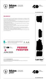 4 tickets Peerse Feesten / Blues peer, Drie personen of meer