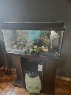 Aquarium 150l, Dieren en Toebehoren, Vissen | Aquaria en Toebehoren, Ophalen, Zo goed als nieuw