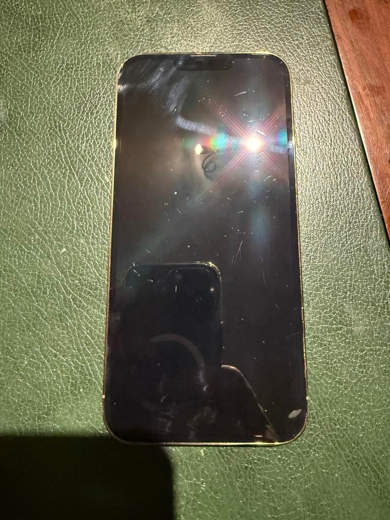 Iphone 13 pro max, Télécoms, Téléphonie mobile | Apple iPhone, 256 GB, Or, IPhone 13 Pro Max, Enlèvement