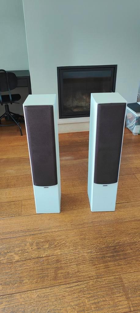 Tannoy MX3 speakers – wit geverfd, werken uitstekend, Audio, Tv en Foto, Luidsprekerboxen, Zo goed als nieuw, JBL, Ophalen