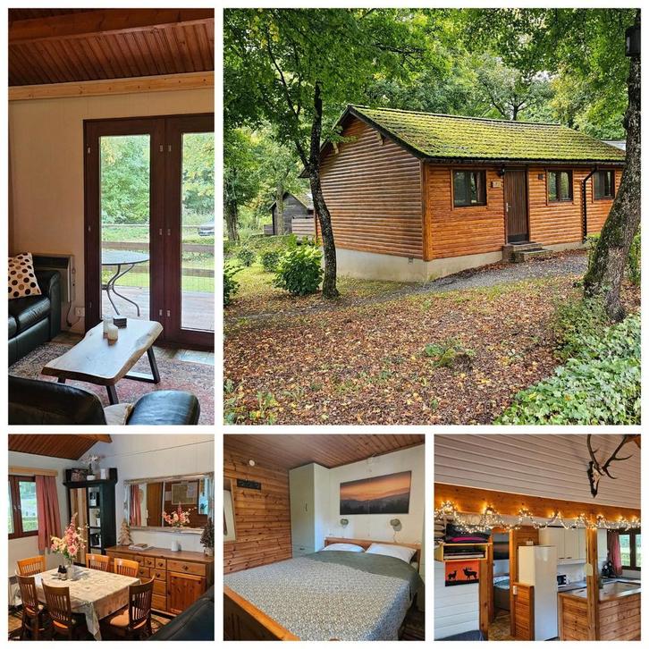 Te huur 4 persoons houten chalet in de Belgische Ardennen, Vakantie, Vakantiehuizen | België, Ardennen of Luxemburg, Chalet, Bungalow of Caravan