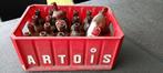 Oude bier bak Stella Artois met 20 oude flesjes, Ophalen of Verzenden