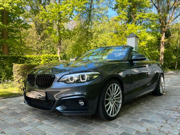 BMW 218 Cabriolet dA*PACK M* beschikbaar voor biedingen