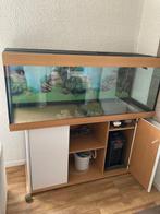 Mooi aquarium, Dieren en Toebehoren, Vissen | Aquaria en Toebehoren, Ophalen, Gebruikt, Leeg aquarium