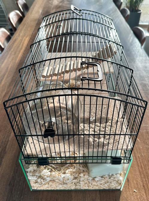 Hamsterkooi met vele extra toebehoren, Dieren en Toebehoren, Knaagdieren en Konijnen | Hokken en Kooien, Zo goed als nieuw, Kooi