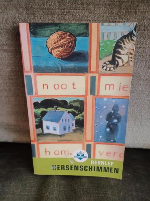 Hersenschimmen      (J. Bernlef), Boeken, Literatuur, Zo goed als nieuw, Nederland, Ophalen of Verzenden