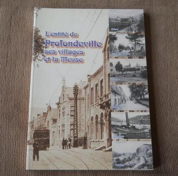 L' entité de Profondeville ses villages et la Meuse