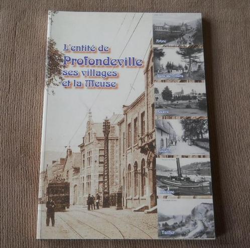 L' entité de Profondeville ses villages et la Meuse, Livres, Histoire nationale, Utilisé, Enlèvement ou Envoi