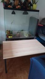 Terrarium, Enlèvement, Utilisé, Bricolage