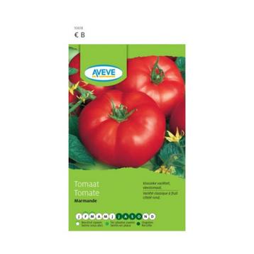 plants de tomates Tomates de Marmande, Annuelle, Été, Enlèvement, Plantes potagères