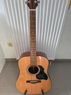 Richwood D-40, Muziek en Instrumenten, Ophalen, Zo goed als nieuw