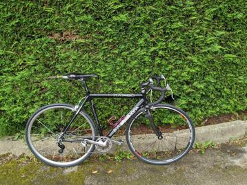Single Speed Gianni Motta 52, 49 à 53 cm, Enlèvement, Comme neuf, Autres marques