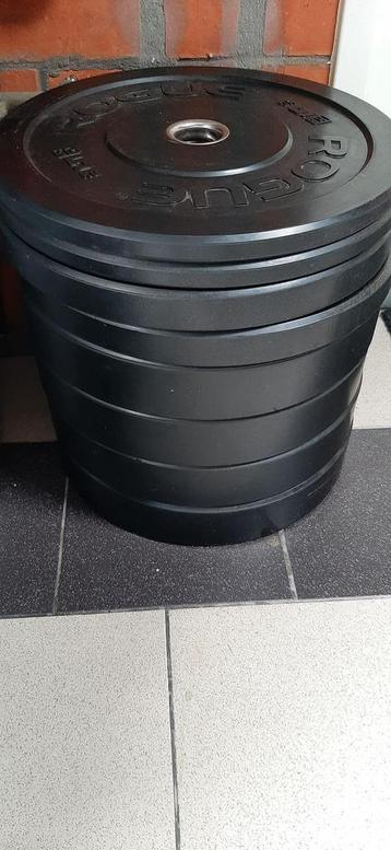 Rogue bumper plates 110 kg beschikbaar voor biedingen