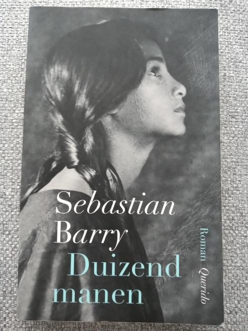 Sebastian Barry - Duizend manen, Boeken, Literatuur, Zo goed als nieuw, Ophalen of Verzenden