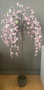 Bloesem boom, Ophalen, Nieuw