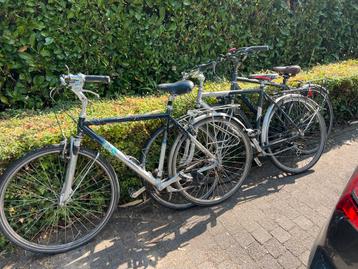 Herenfietsen 3x Koga Miyata,.. ofxord beschikbaar voor biedingen
