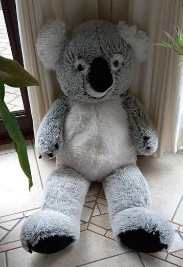 Knuffel grote koala beer van 90 cm  beschikbaar voor biedingen