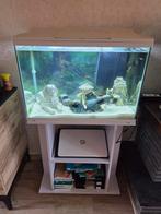Aquarium  100 liter +kast, Dieren en Toebehoren, Vissen | Aquaria en Toebehoren, Ophalen, Gebruikt, Verlichting of Verwarming