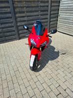 Te koop  prachtige  honda  cbr 600rr, Motoren, Motoren | Honda, 4 cilinders, Meer dan 35 kW, 600 cc, Sport