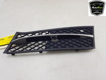 GRILLE DE PARE-CHOCS BMW 5 serie (F10) (|51117200699|), Utilisé, BMW