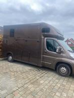 Paardencamionette peugeot te koop, Dieren en Toebehoren, Ophalen, Zo goed als nieuw