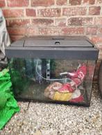 Aquarium, Animaux & Accessoires, Enlèvement, Utilisé, Gravier, Sable ou Substrat