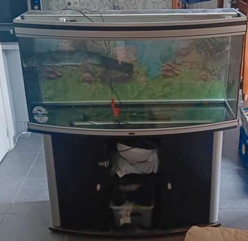 Aquarium( zie beschrijving)  beschikbaar voor biedingen