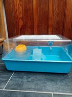 Cage rongeurs, Ophalen, Zo goed als nieuw, Kooi, Hamster