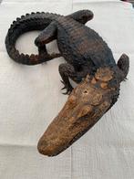 Opgezette dieren : alligator : bieden vanaf € 50,00, Antiek en Kunst, Ophalen