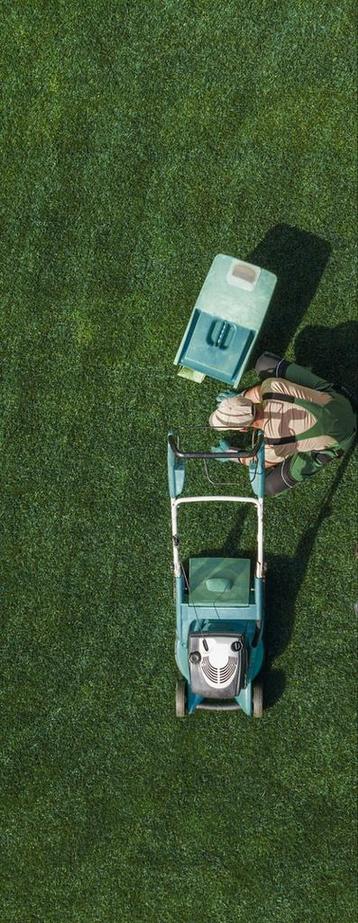 Entretien espaces verts, jardin beschikbaar voor biedingen