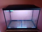 Magnifique aquarium avec accessoires., Ophalen, Zo goed als nieuw, Leeg aquarium