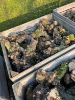 Perenhout te koop, Tuin en Terras, Brandhout, Ophalen
