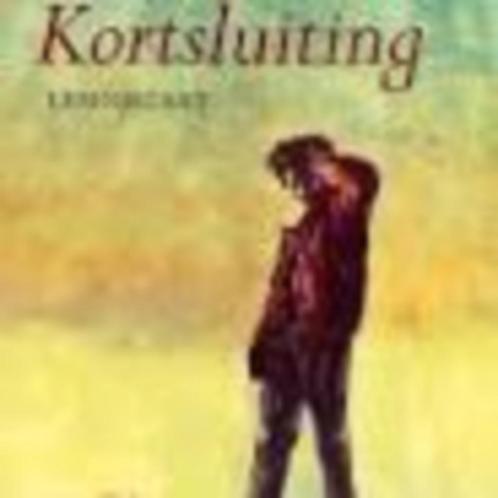 Kortsluiting Lieneke Dijkzeul Lemiscaat, Boeken, Kinderboeken | Jeugd | 13 jaar en ouder, Zo goed als nieuw, Ophalen of Verzenden