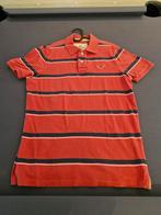 Pakket polo´s Holister Maat XL, Ophalen of Verzenden, Zo goed als nieuw, Maat 56/58 (XL)