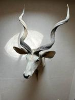 Grand Kudu Trophy, Verzamelen, Dierenverzamelingen, Wild dier, Opgezet dier, Gebruikt
