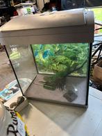 Aquariumbak, Dieren en Toebehoren, Ophalen, Zo goed als nieuw