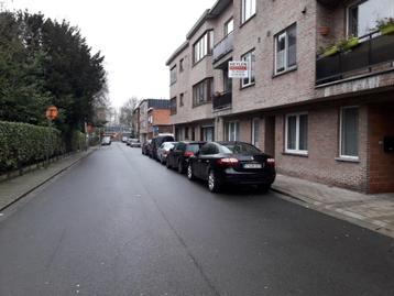 te huur een gelijkvloers 1 slaapkamer appartement te Hoboken beschikbaar voor biedingen