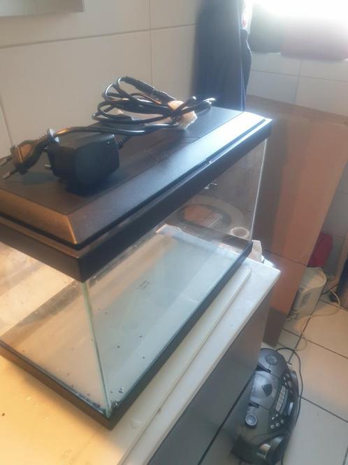 Te koop dringend wegens verhuizing !!, Dieren en Toebehoren, Vissen | Aquaria en Toebehoren, Nieuw, Leeg aquarium, Ophalen