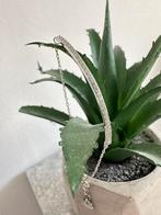 Armband Swarovski, Ophalen