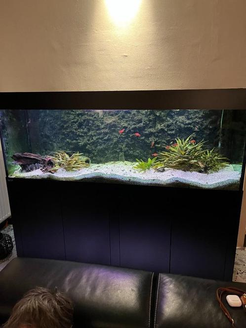 Op maat gemaakt aquarium – compleet, in topstaat – bieden, Dieren en Toebehoren, Vissen | Aquaria en Toebehoren, Zo goed als nieuw