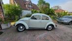 Volkswagen Kever 1959, Autos, Oldtimers & Ancêtres, Carnet d'entretien, Propulsion arrière, 200 g/km, Achat