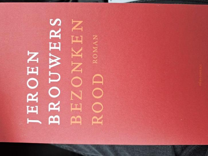 Jeroen Brouwers - Bezonken rood, Boeken, Literatuur, Zo goed als nieuw, Nederland, Ophalen of Verzenden