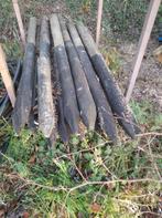 15 weide palen KASTANJE HOUT 200 cm lang, 10 á 12 cm dia, Ophalen