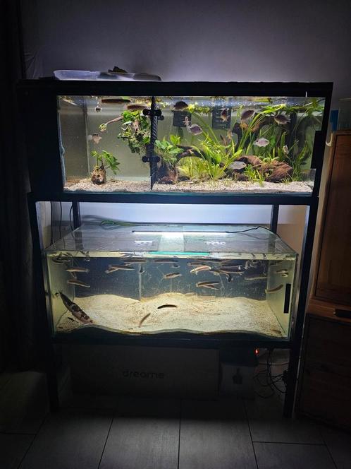 2 aquarium + zwarte smeedijzeren steun, Dieren en Toebehoren, Vissen | Aquaria en Toebehoren, Ophalen